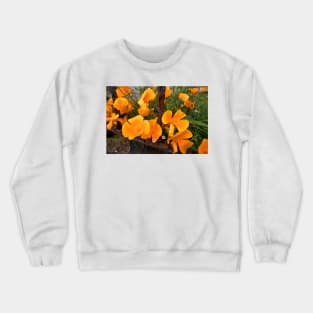 California Poppies behind bars Crewneck Sweatshirt